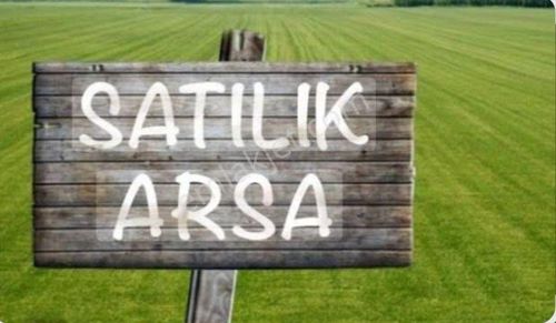 Tavas Pınarlık'ta 45 Cevizli, Köy Evi 3.800 M² Satılık Tarla
