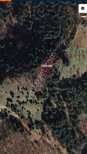 Mürseller De Satılık Tek Tapu 550 M2 Müstakil Parsel