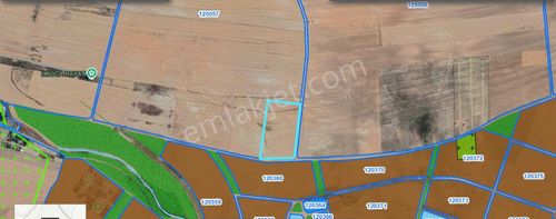 Alaçatıdan Gökçehöyükte/tek Tapu/31.347 M2/kadastral Yola Cephe