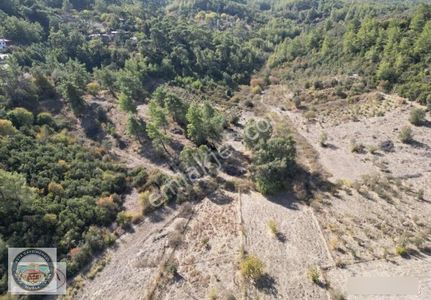 Muğla Ula Armutçuk'ta Ormanla Komşu, 20.556 M² Yatırımlık Arazi