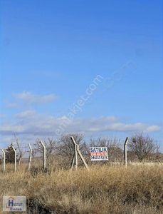 Çıkrık Beldesinde İmara Komşu Yaklaşık 300 Ağaçlık Bahçe..!