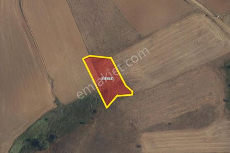 Recep Ümit'ten Eğriöz Buzağıpınarı Mevkiinde Satılık Yatırıma Uygun , Hesaplı 1434 M2 Tarla