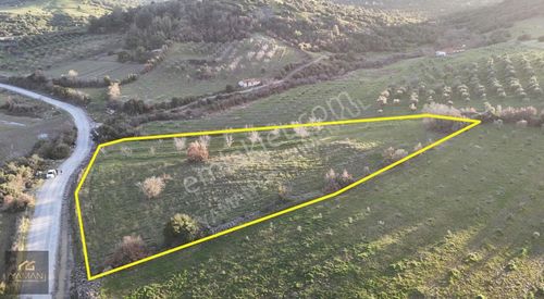 Arabacıbozköyde Köy Yakını Müstakil Tapulu Satılık Tarla.