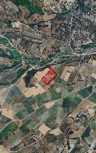 Şarköy Gaziköy Full Deniz Manzaralı İmarda Sorunsuz 1100 M2