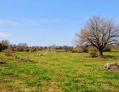 Bilecik Bozüyük Satılık Ana Yola Yakın 9 Dönüm Tarla