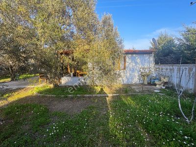 Urla Denizli Mahallesinde Satılık Arsa