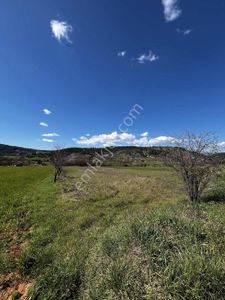 Muğla Menteşe Yenibağyaka Mah. 1.215 M2 Tarla