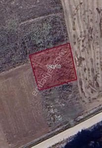 Bozüyük Çaydere'de Yatırımcıyauyguntarla