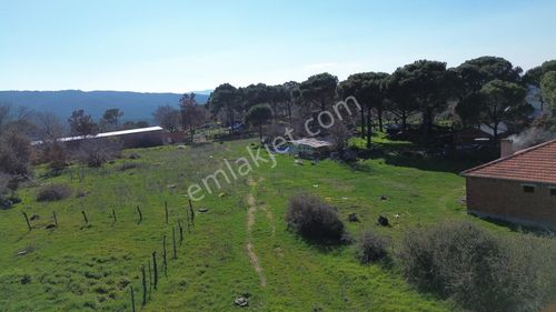 Bergama Kozak Karaveliler'de Satılık 5.900m2 Konut İmarlı Arsa