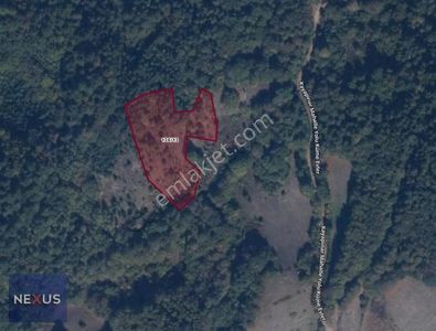Bolu Mudurubnu Gökören Köyü 4.996,12 M² Satılık Tarla