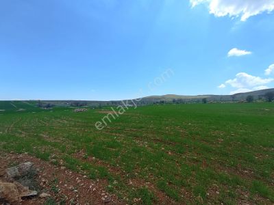 Meram Sarıkızda Müstakil Tapulu 8.202 M2 Tarla