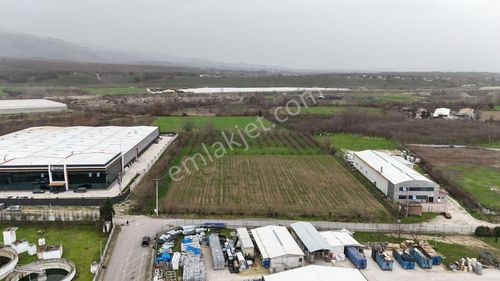 5.100 Metrekare Bacalı Sanayi Arsası