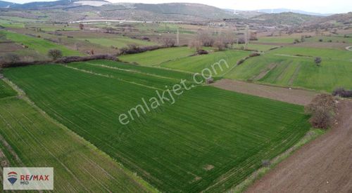 Remax Mid Kürse Mah. 8196 M2 Satılık Tarla