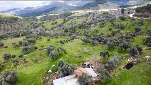 İzmir Bayındır Alanköy De Hayatınızın En Büyük Fırsatı 22.881m2