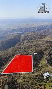 İzmir Seferihisar Ulamış Mahallesinde 19.542m² Satılık Zeytinlik