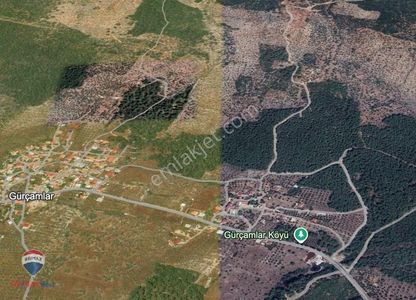 32 Muğla Milas Gürçamlar'da 14688 M2 Satılık Tarla