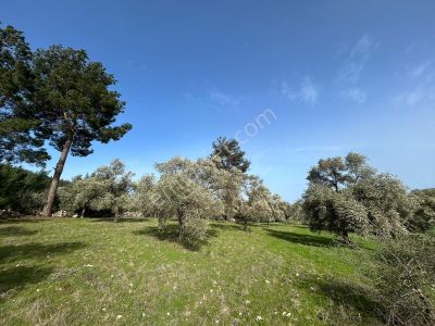 Akbaşlar Gayrimenkul Milas Gökçeler Mahallesin'de Fırsat Arazi