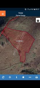 *** Satılık Fındık Bahçesi ***