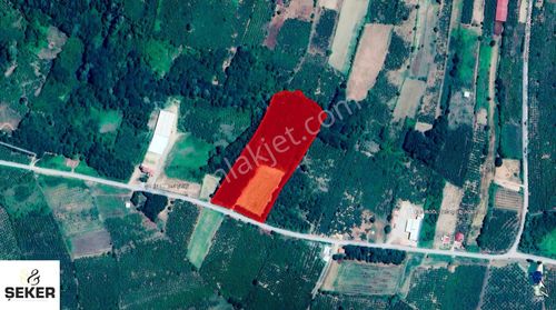 40-şekergayrimenkul Süleymaniye Köyü 25000m2 Kiralık Arsa