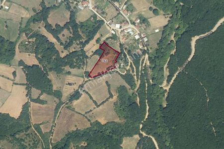 Akarca Mahallesi'nde Satılık Tarla