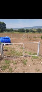 Gökçeyazı Köseağalar Mevki Satılık 2812 M2 Hobi Bahçesi