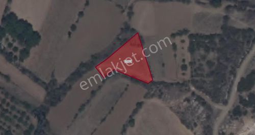 Burdur Yeşilova Çeltek Köyü Münayim Mevki Satılık Fırsat Tarla No.20601​