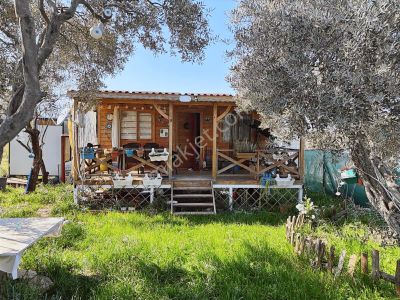 Fırsat ! Örnekköyde Asfalt Yola Cepheli 305 M² Bahçede Ahşap Ev