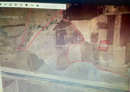 Royalest'ten Yatırımlık Tek Tapu Karadinekte Uygun