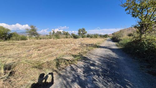 Ortaca Akıncı Da 1.000 M2 Verimli Arazi Acil Satılık