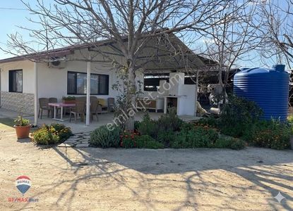 42 Ödemış Satılık Besı Çıftlığı