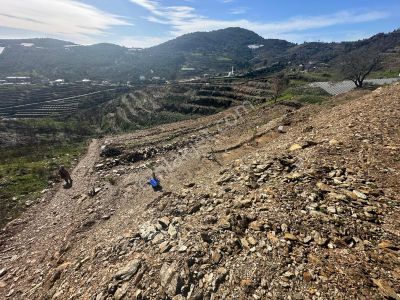 İsbatlı Da 7500m2 Köy İçi Elektirik Suyu Olan Tarla