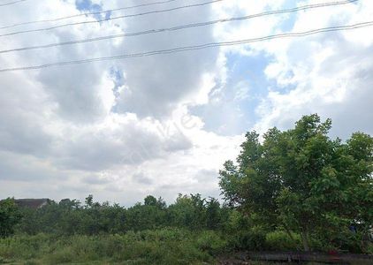 Düzce Merkez Çamköy Mahallesi Musayeriçiftlik Mevkiinde Satılık Arsa Hissesi – Yatırım Fırsatı