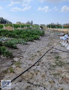 Toprak Emlaktan Satılmışoğlu Mh Yola Cepheli Satılık Bahçe Yeri