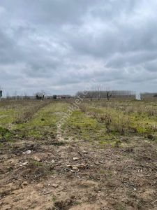 Akgün Kurumsal'dan Çarşamba'da 16660 M2 Satılık Tarla