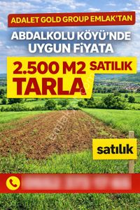 Adalet Gold Group Emlak'tan Abdalkolu Köyü'nde Uygun Fiyata Satılık 2.500 M2 Tarla