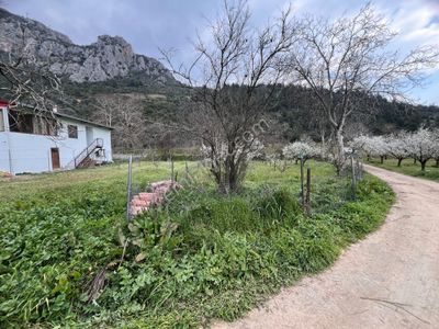 Nilvest'ten Narlıdere'ye Çok Yakın Hobi Bahçesi