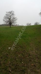 C21 Cius; Çanakkale Çan Çaltıkara Satılık 6.000m2 Tarla