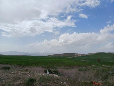 Gelişime Açık Sincan Yeni Peçenek Mahallesinde 250m2 Kupon Arsa