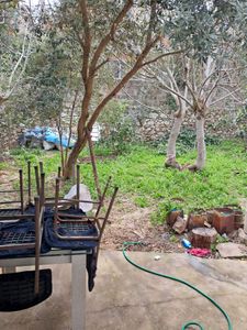 Konak Millet Mahallesinde 334m2 Arsa İçerisinde Tek Katlı Satılık Müstakil Ev