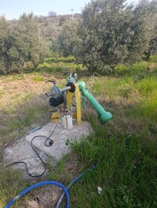 Suyu Olan Satılık Zeytinlik