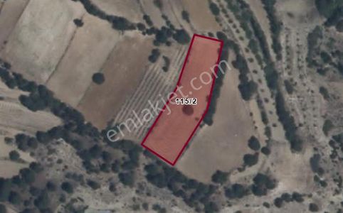 Denizli Çameli Yeşılyayla Sahibden Satılık Tarla..