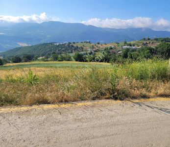 Sakarya Taraklı'da 6 Villa Projesine Uygun Konut İmarlı Arsa