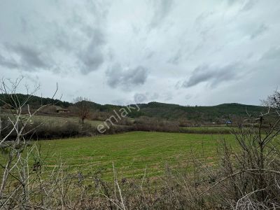 Yenice Çakır'da Konut İmarlı Satılık 357 M2 Yola Cepheli Arsa