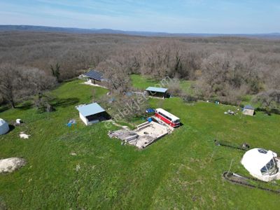 Kırklareli İğneada Longoz Ormanında Mocampa Uygun Fırsat 10838 M2 Tarla