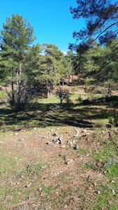Sahibinden Fethiye Göcek Karacaören Köyü Aciliyetten Satılıktir.