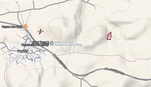 Bilecik Merkez Yeniköy 7.466 M2 Satılık Tarla