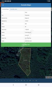 Fındık Bahçesi Ordu Perşembe