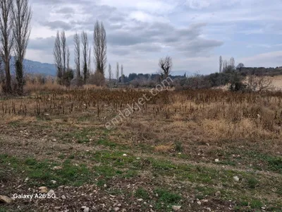 Satılık Verimli Tarla