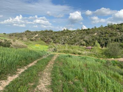Sarıçam Avcılar 95dönüm Tarla Damlama Sistemi Hidrofor Gübre Tankı Elektrik Yol Su Etrafı Çevrili