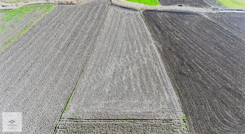 Utku Emlak'tan Babaeski Sinanlı Köyünde 7675m2 Yatırımlık Arazi